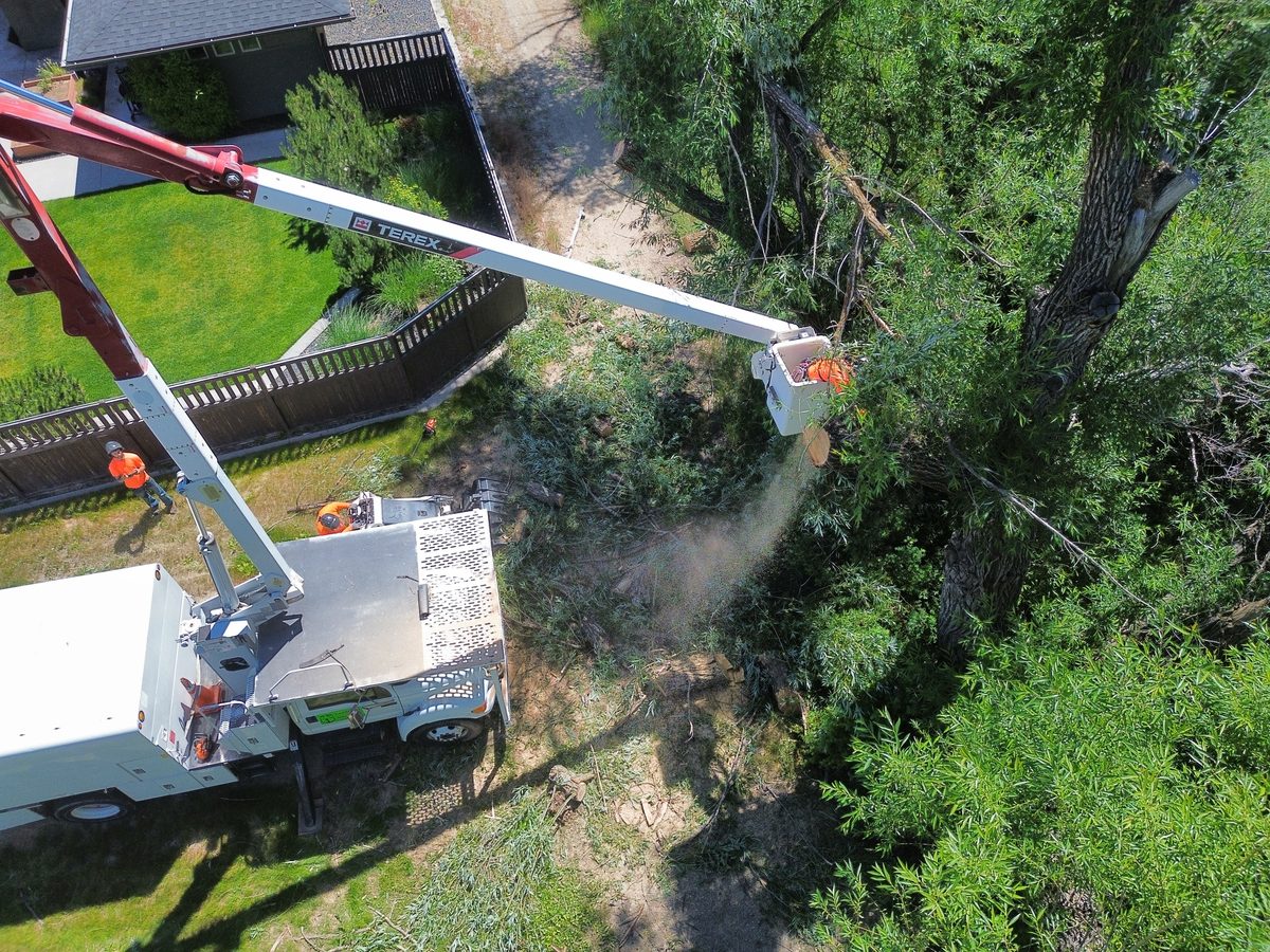 The Tapson&rsquo;s bucket truck parked on a Treasure Valley lawn with its boom extended into a large canopy, the operator in orange hi-vis cutting from the bucket while a groundman watches from the grass below.