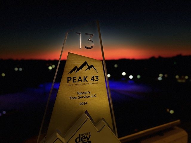 The Peak 43 award trophy for Tapson&rsquo;s Tree Service LLC, 2024, held up against a deep orange Boise sunset. The brushed-gold plaque is numbered 13 and reads &lsquo;Idaho&rsquo;s Fastest Growing Companies&rsquo;.